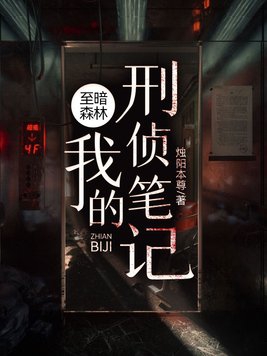 至暗森林:我的刑侦笔记